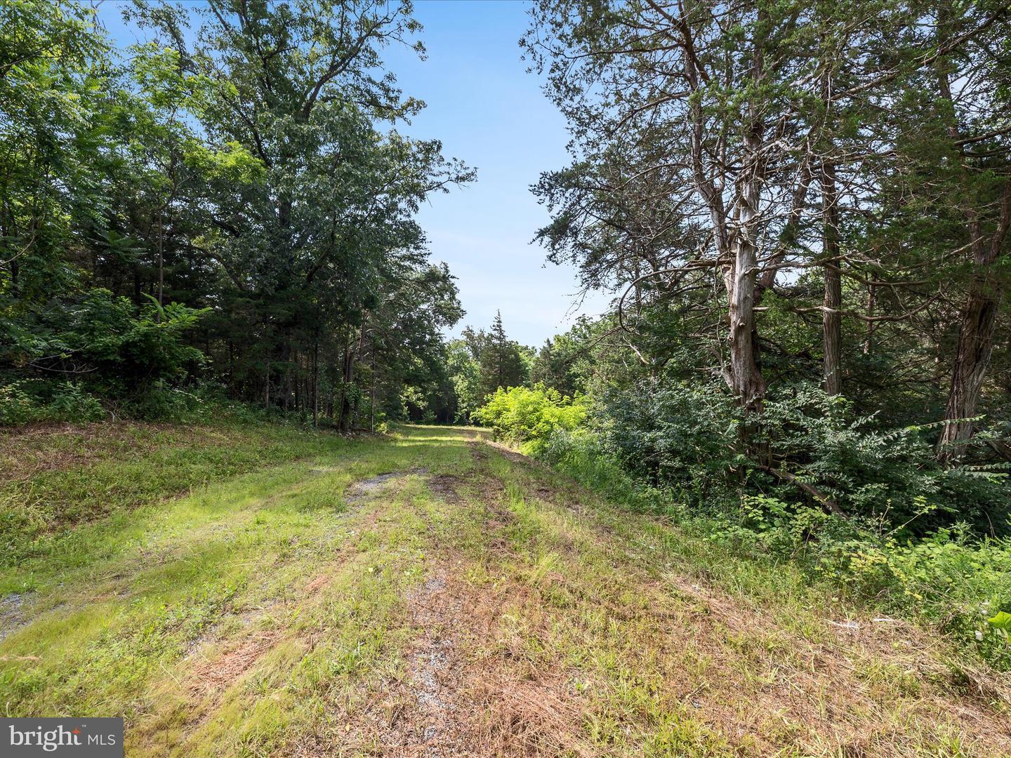 Property Photo: Lot 20 Hampstead Court VA 22644