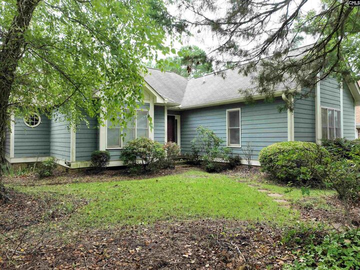 201 Willowood  Chapin SC 29036 photo