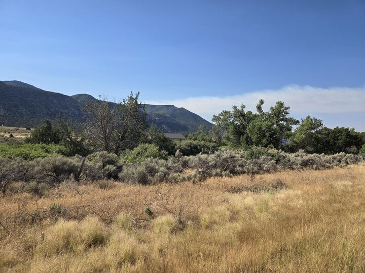 Property Photo:  1463 S Old Hwy 91  UT 84757 