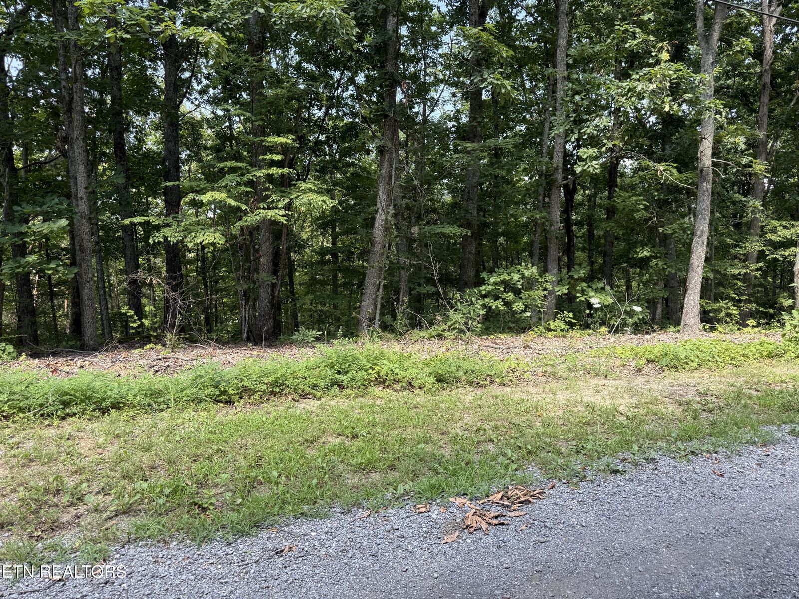 Property Photo:  Lot 36 Pecan Lane  TN 37821 