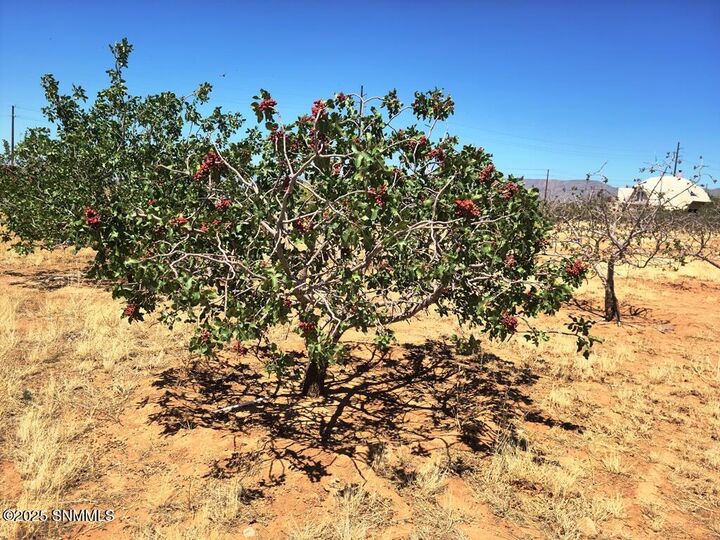 Property Photo:  7535 El Centro Boulevard  NM 88012 