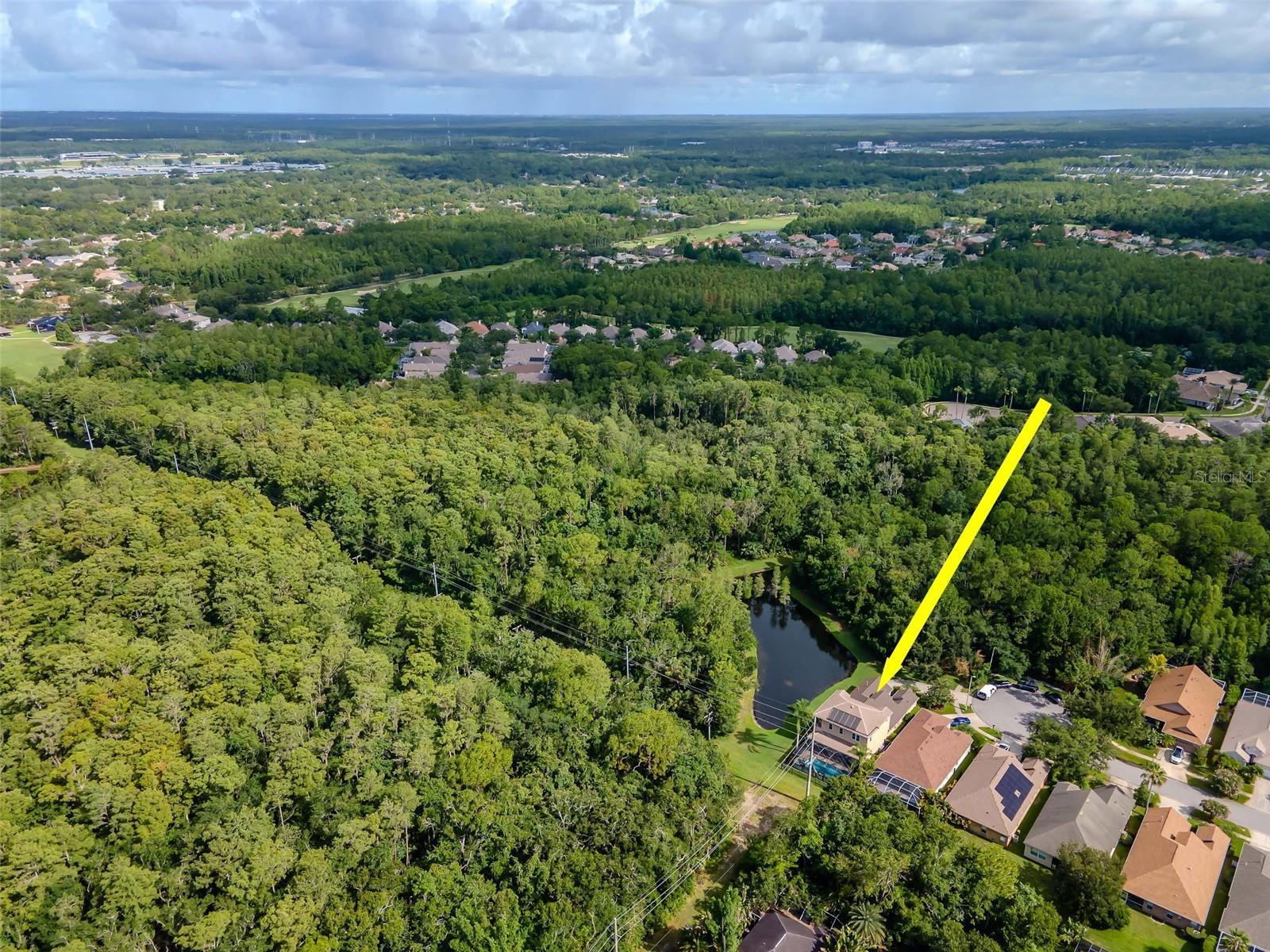 Property Photo:  9401 Greenpointe Drive  FL 33626 