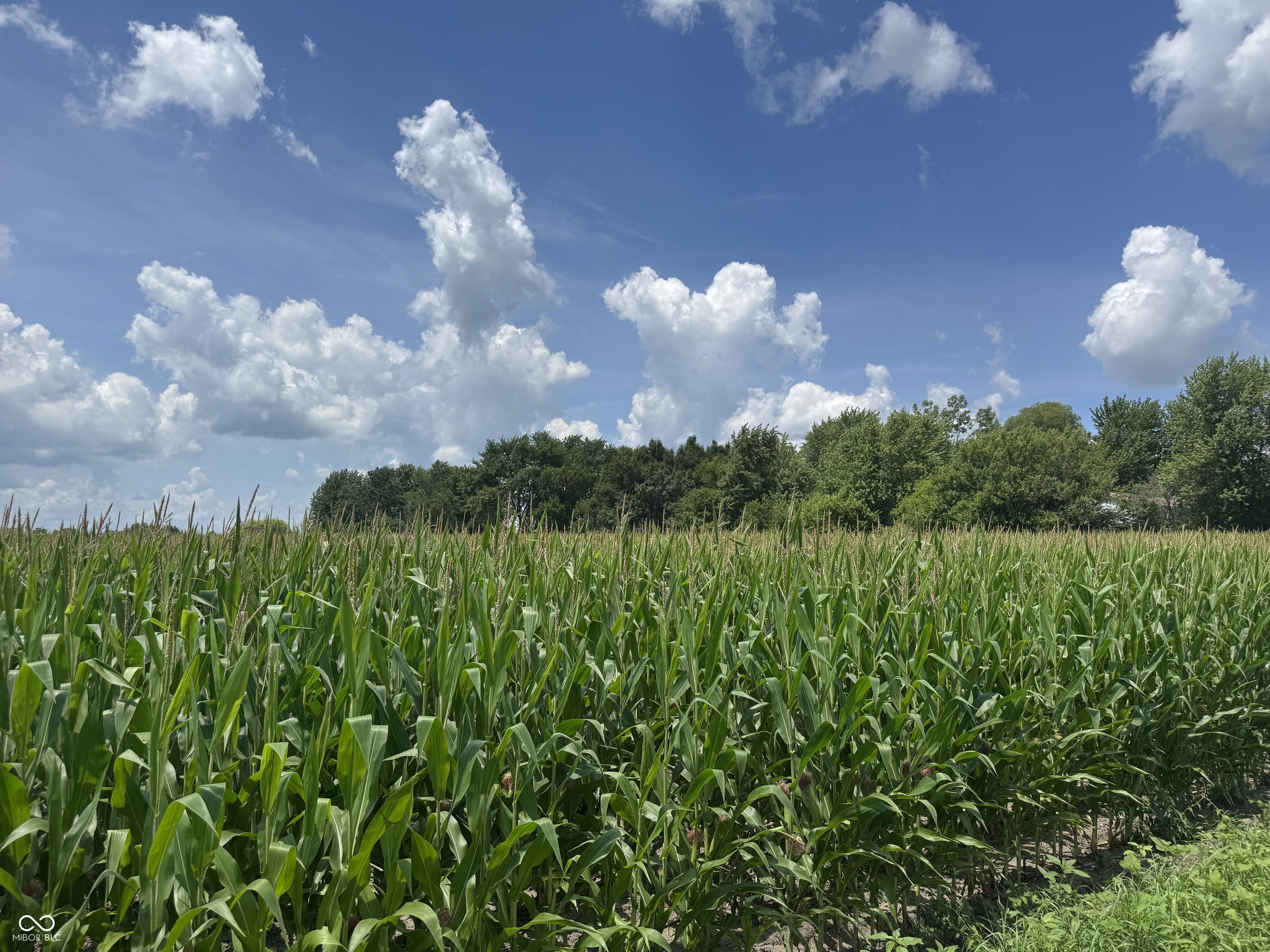 Property Photo:  3010 S State Road 39  IN 46052 