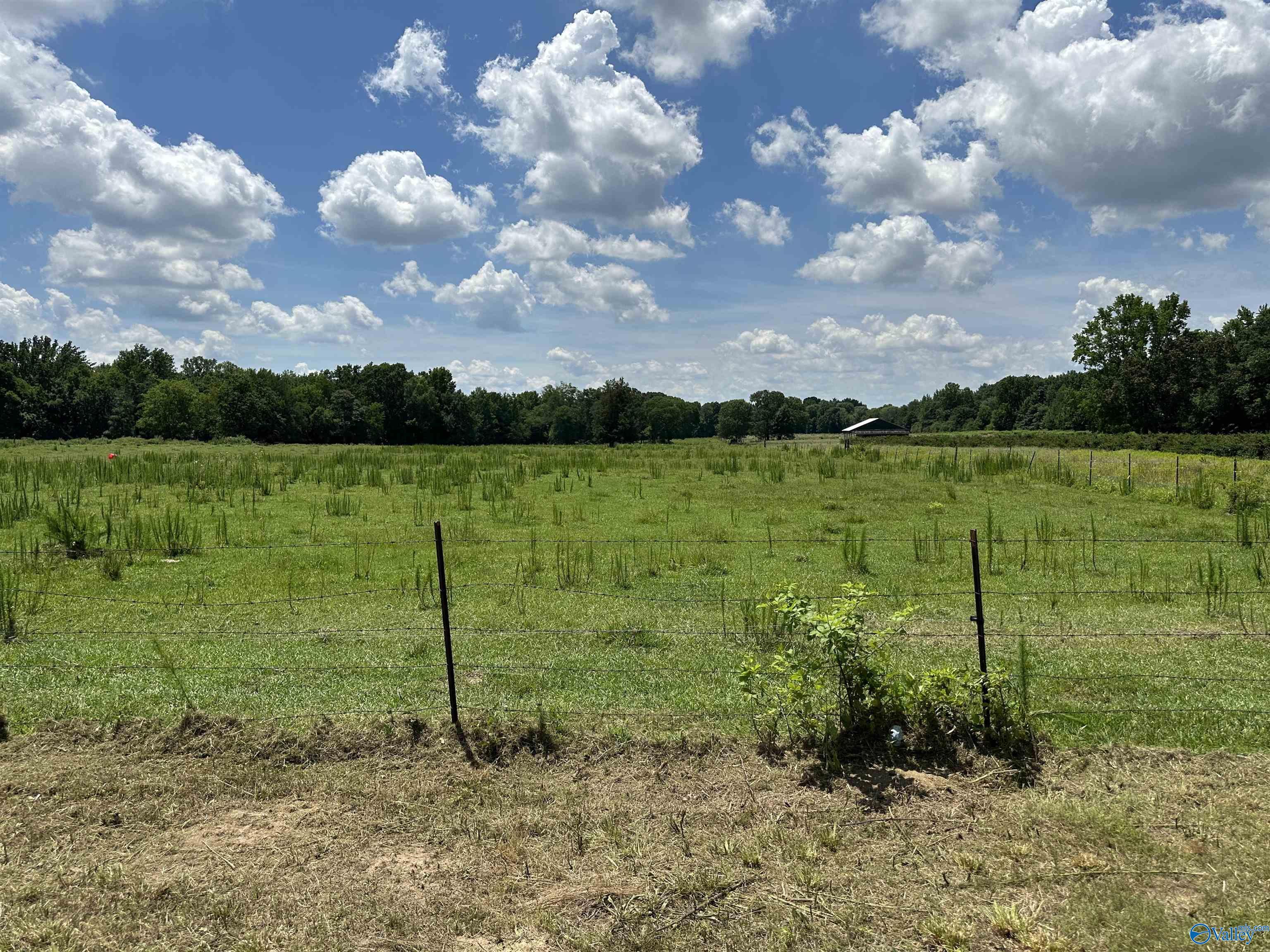 9.2 Ham Road  Athens AL 35611 photo