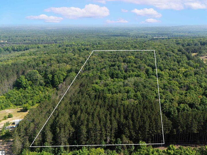 Vl W Phelps Road  Manton MI 49663 photo