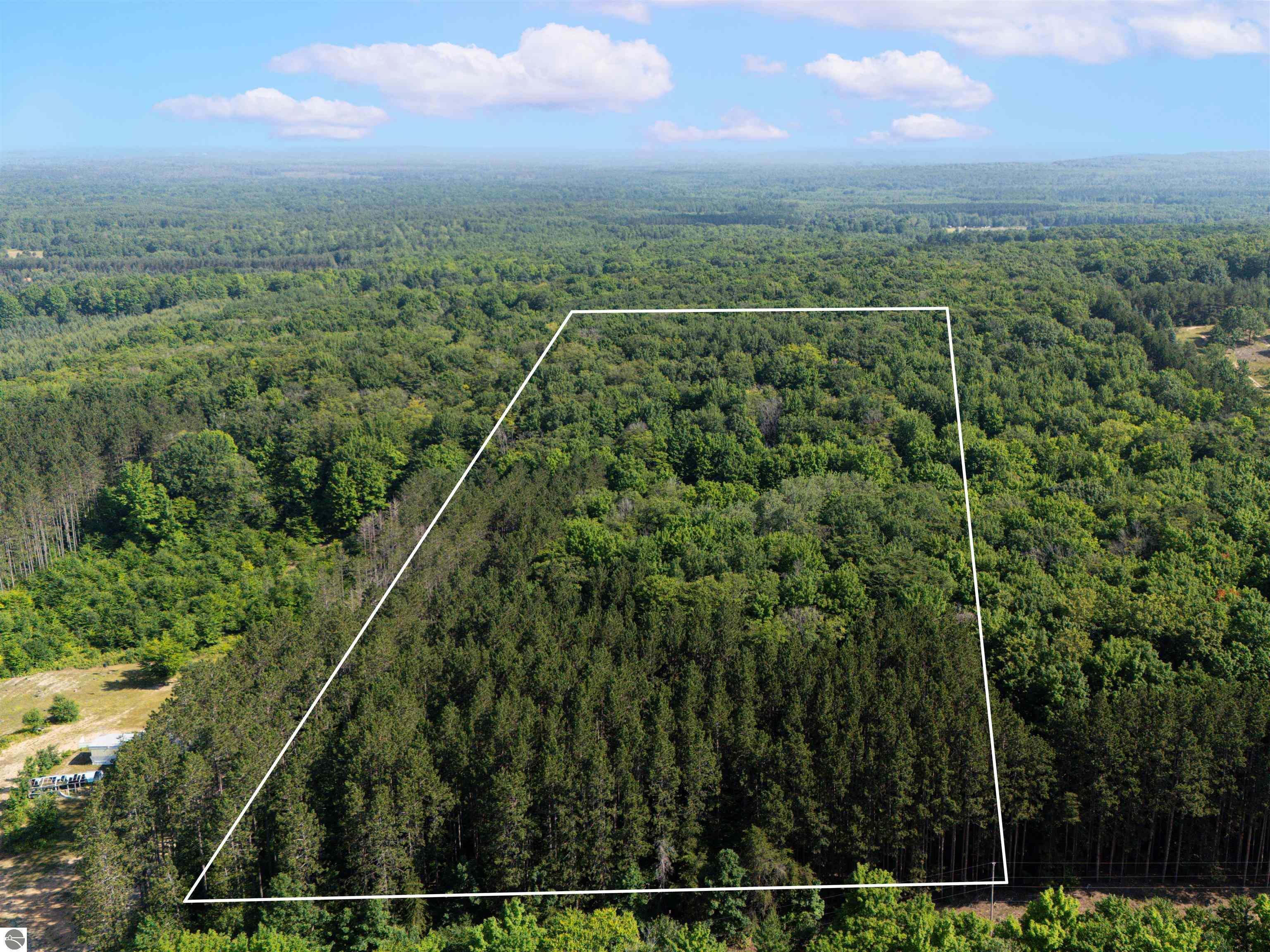 Property Photo: Vl Phelps Road MI 49663