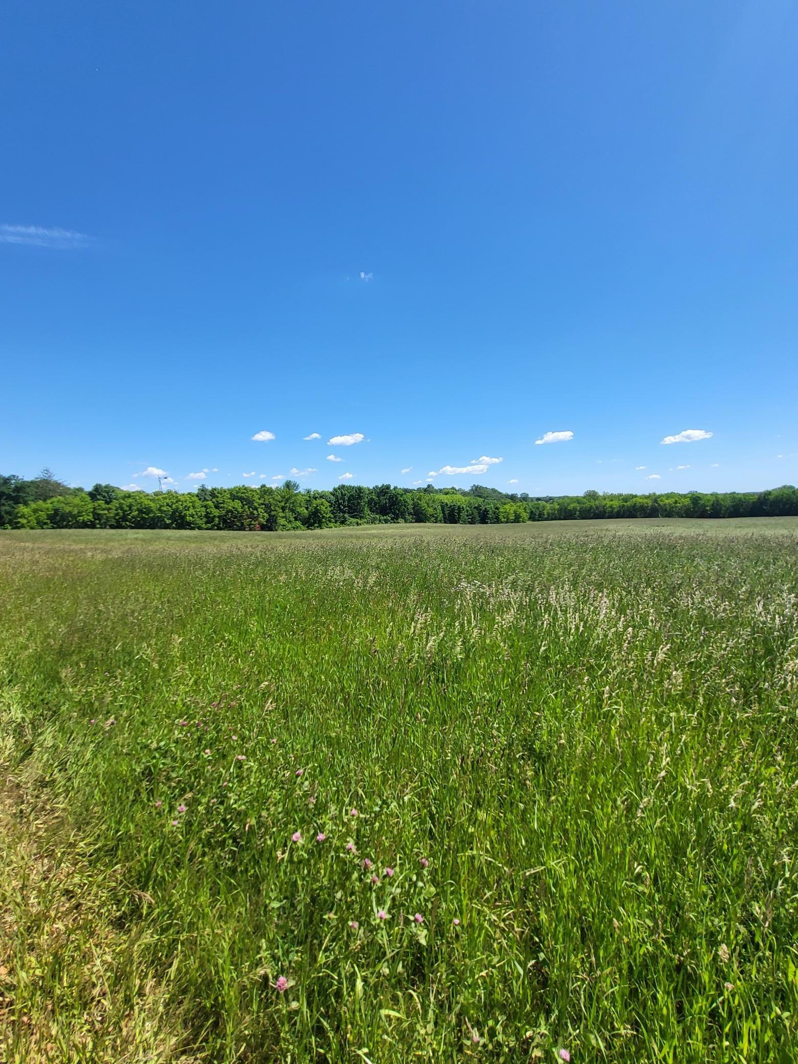 Property Photo: Xxx Nelson Road MN 55328