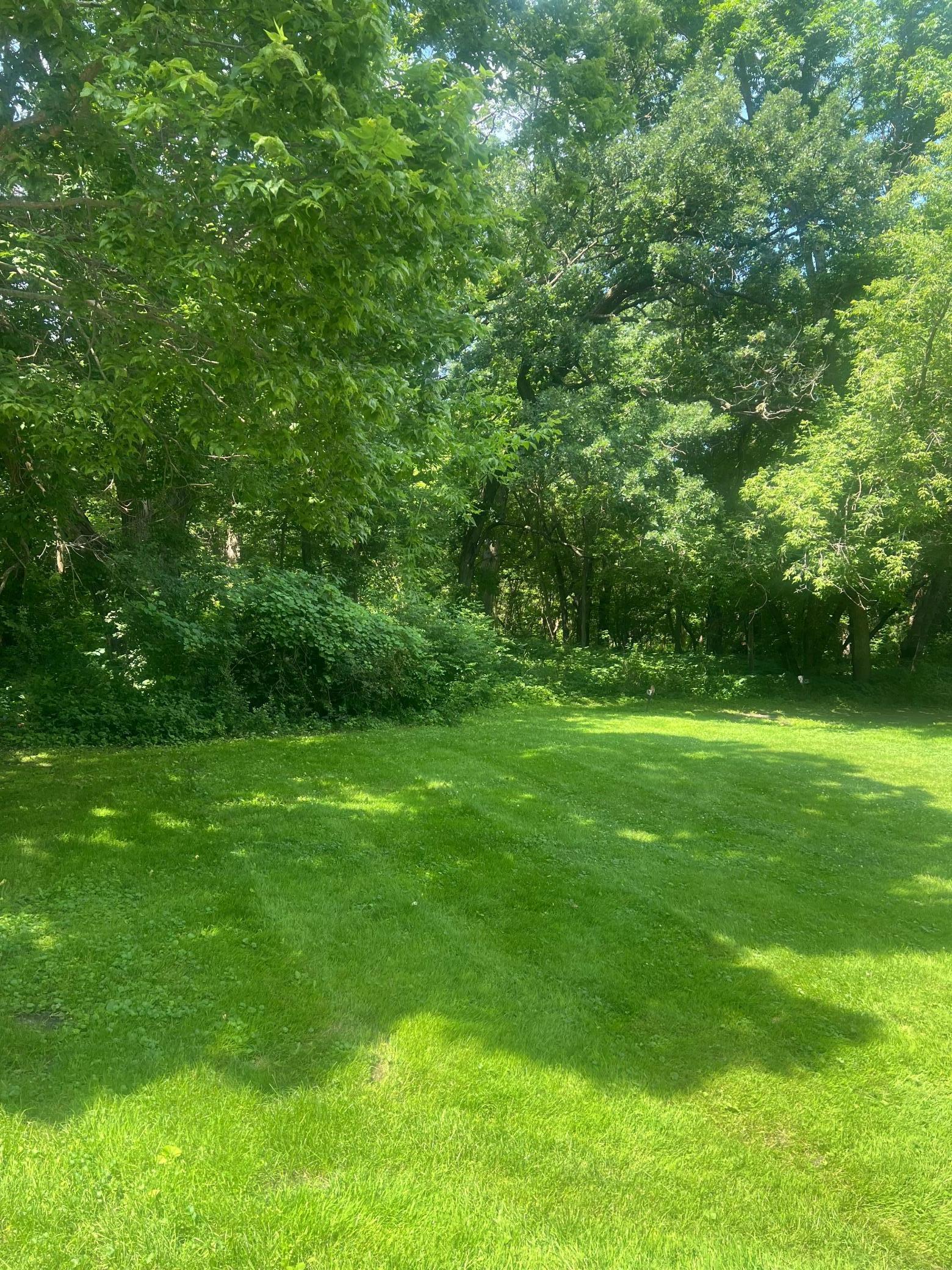 Property Photo: Tbd Lot 1 Envelope 2 Baycrest Road MN 56334