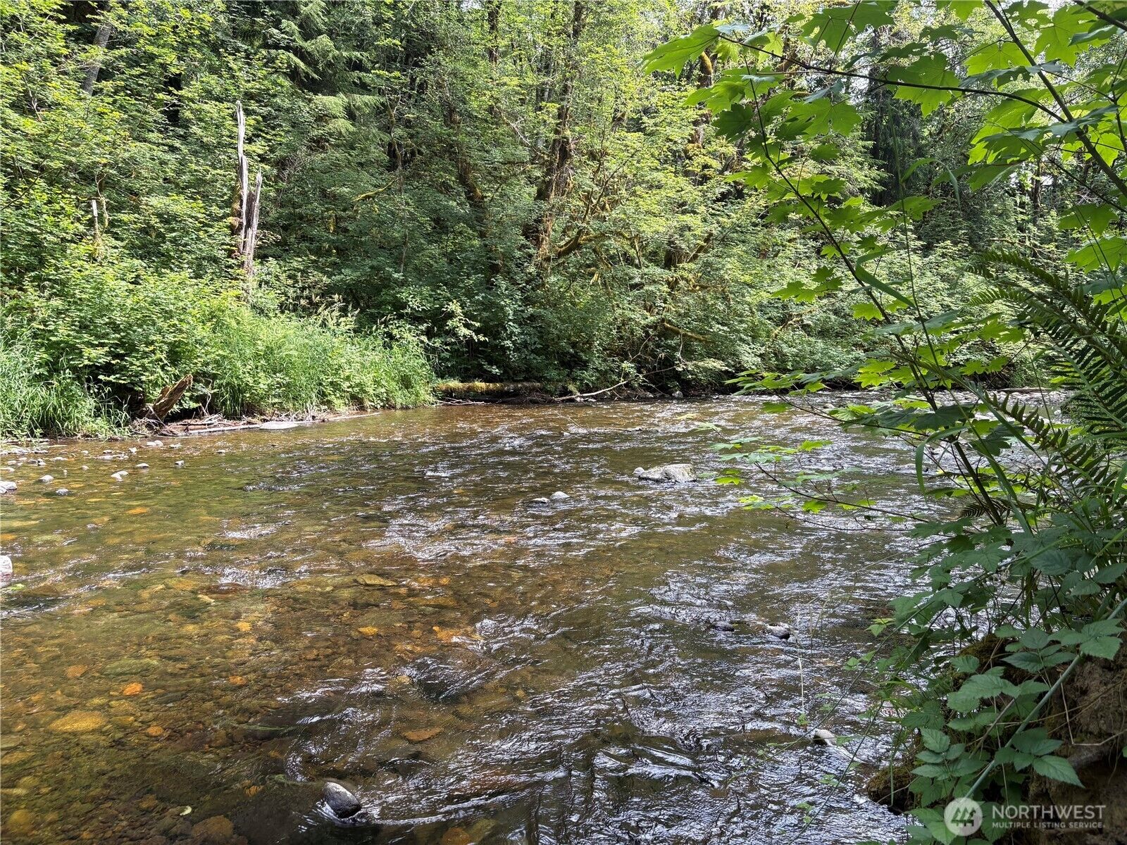 Property Photo:  0  Pigeon Springs Road  WA 98570 