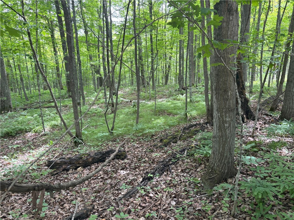 Property Photo:  0 29 1/2 Avenue Street  WI 54817 