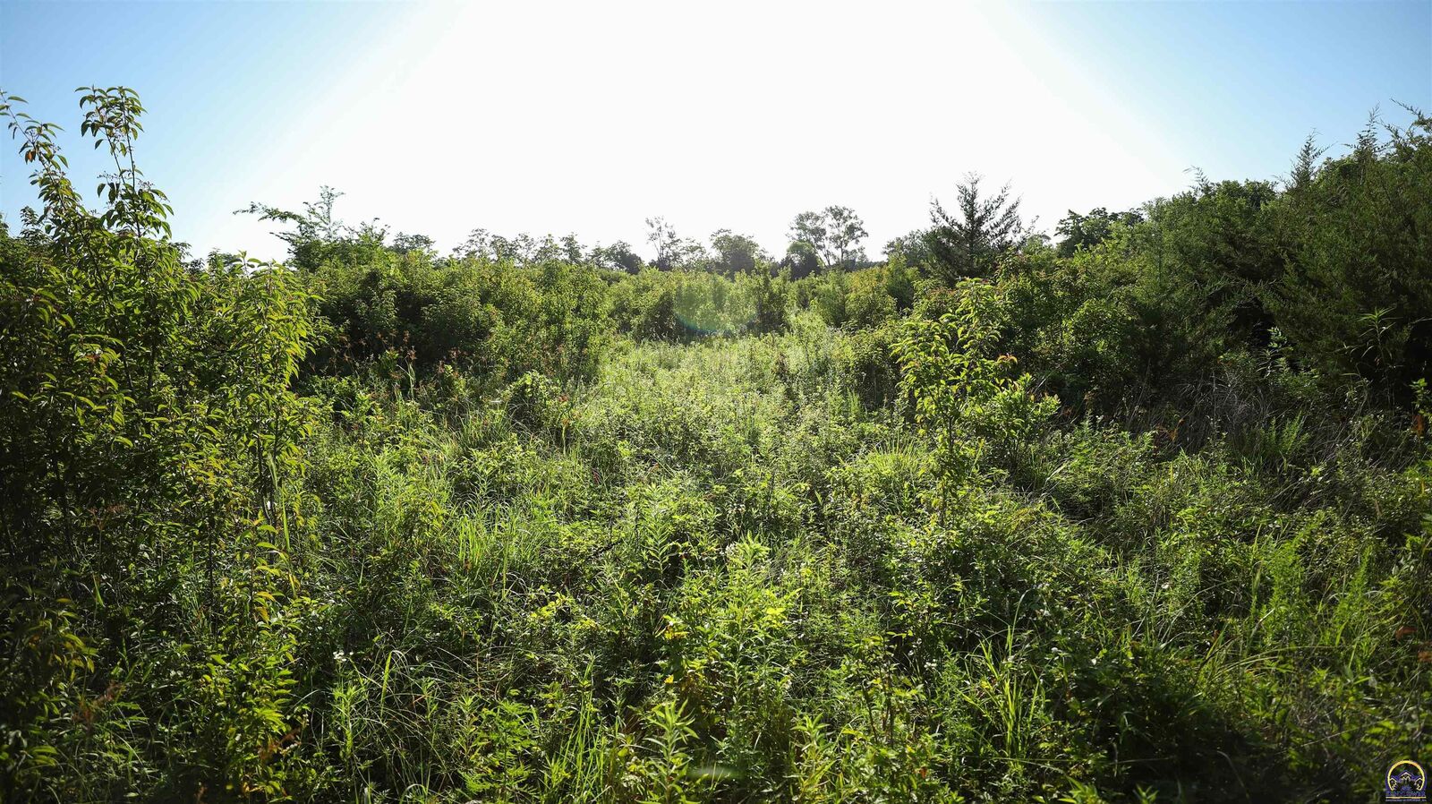 Property Photo: 00000 Hwy 268 KS 66451