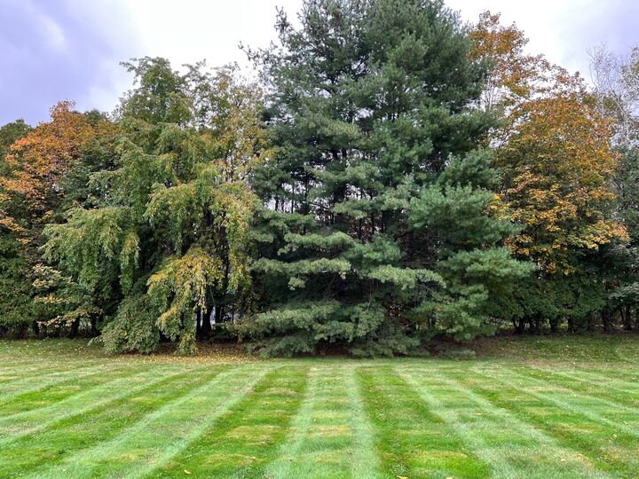 212 Church Street  Newington CT 06111 photo