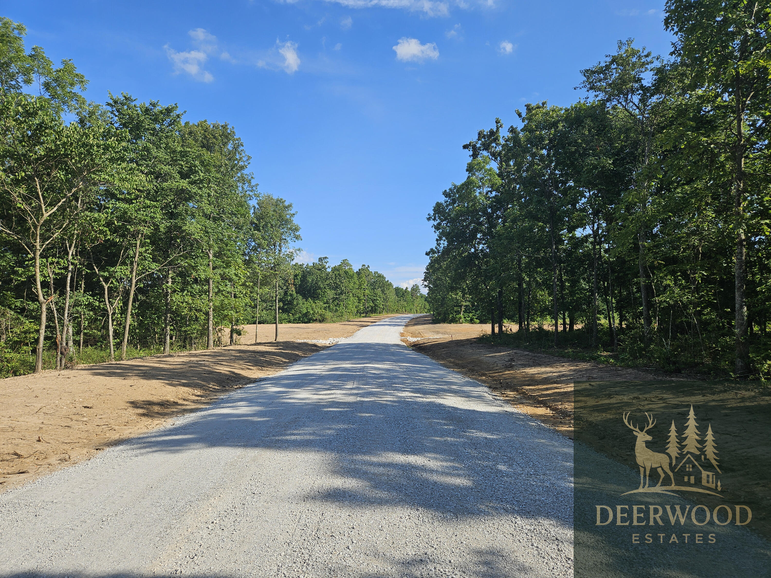 Lot 12 Deerwood Estates  Aurora MO 65605 photo