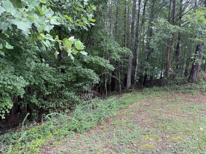 Property Photo:  90 Green Way Drive  NC 27520 