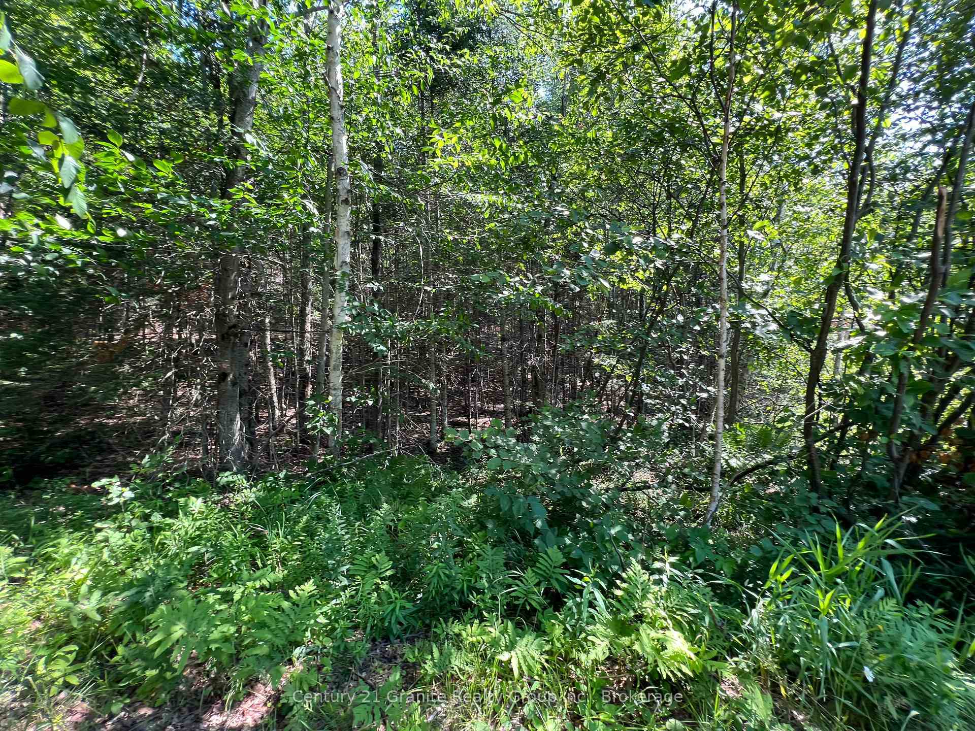 Property Photo:  Lot 29 West Court  ON K0M 1S0 