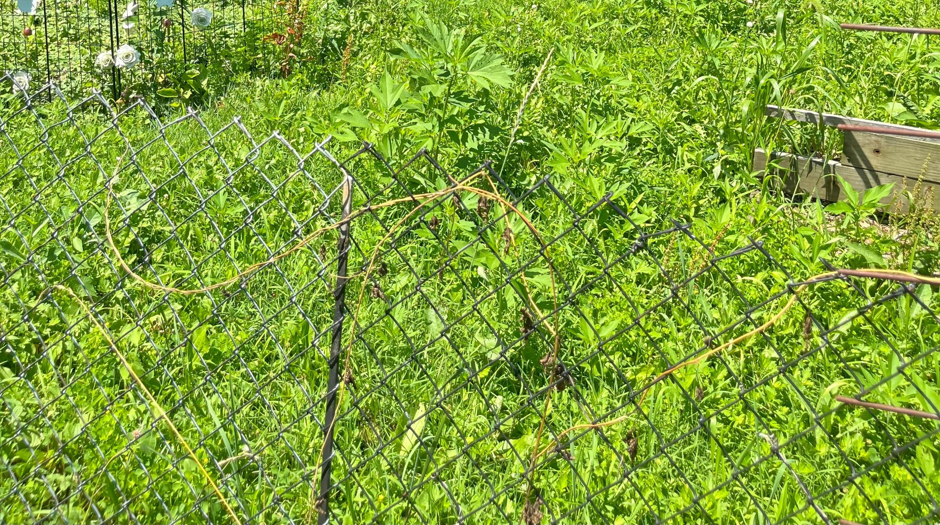 Property Photo:  64 N 10th Street  OH 43055 