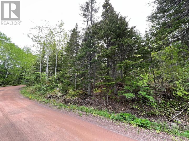 Property Photo:  113 Askels Cove Road  NL A0H 1Z0 