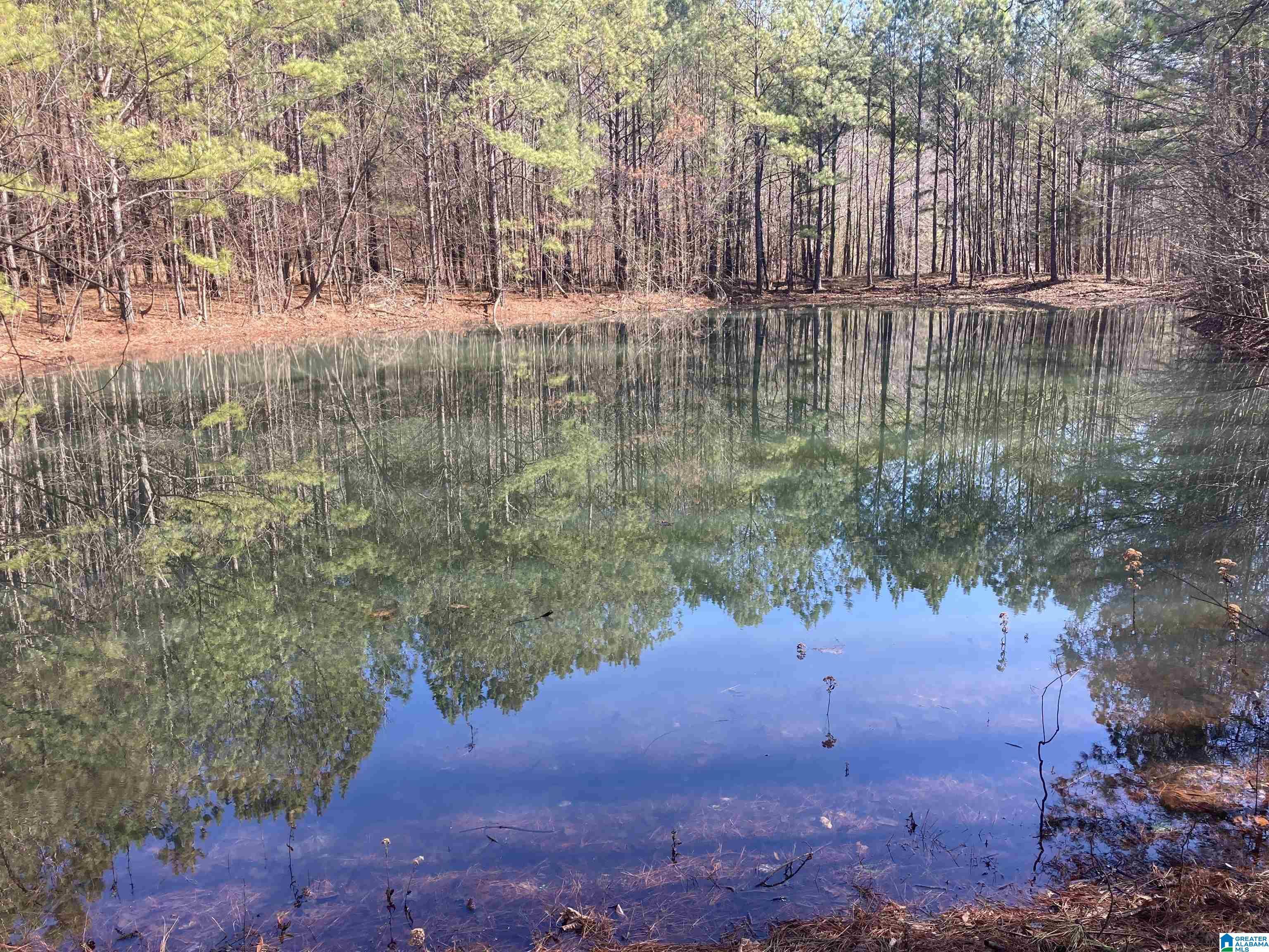 Property Photo:  143 Rocky Hollow Lane 0  AL 36272 