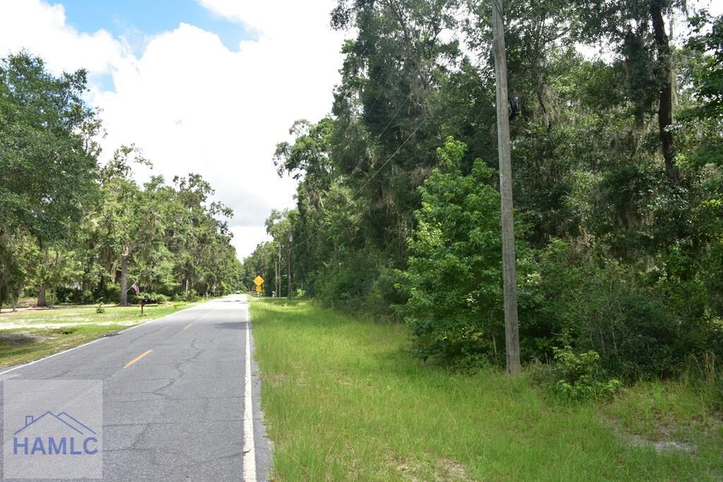 Property Photo:  Lot 42 Japonica Drive  GA 31320 