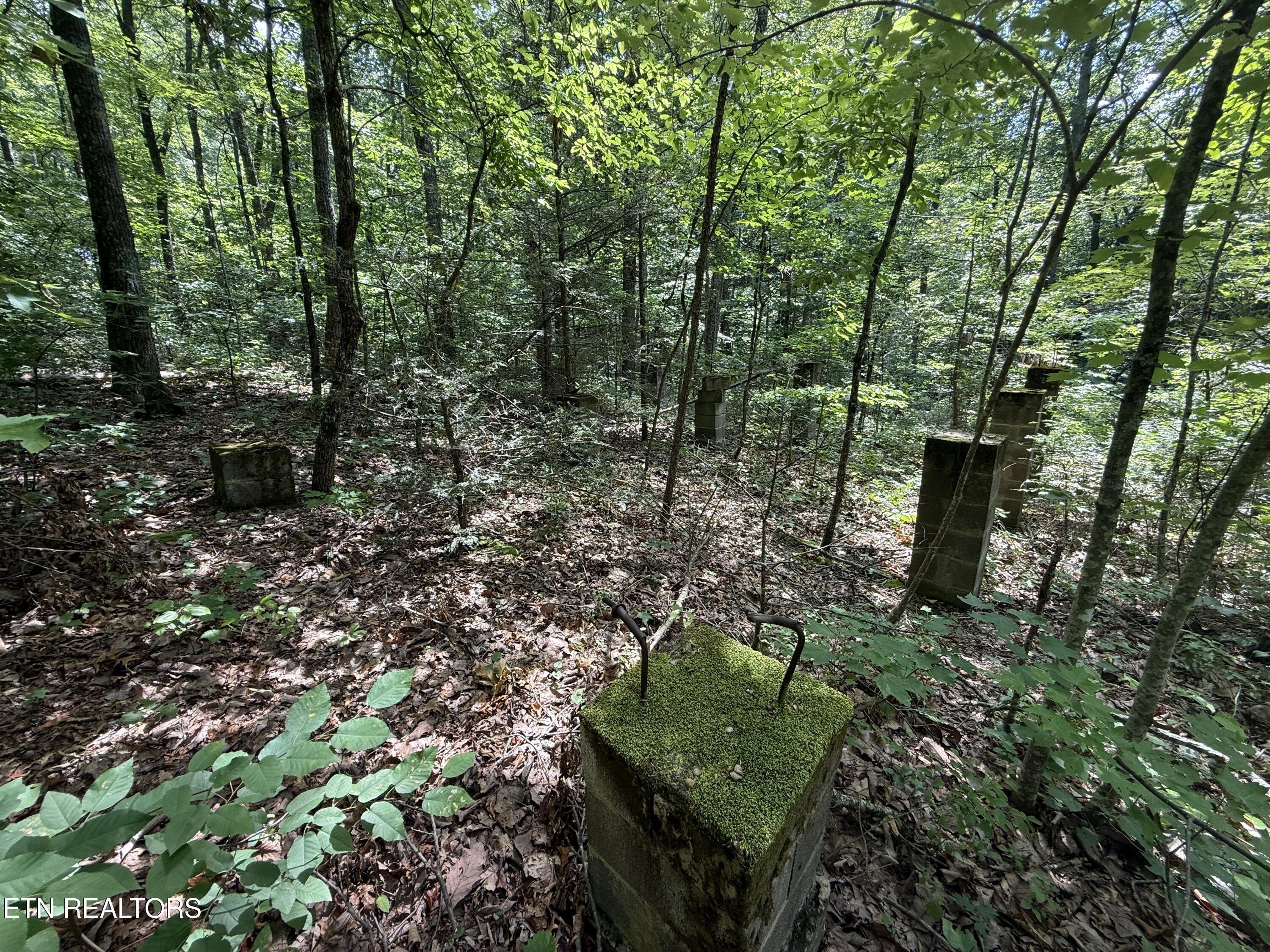 Property Photo: 0 Goose Creek Rd TN 37865