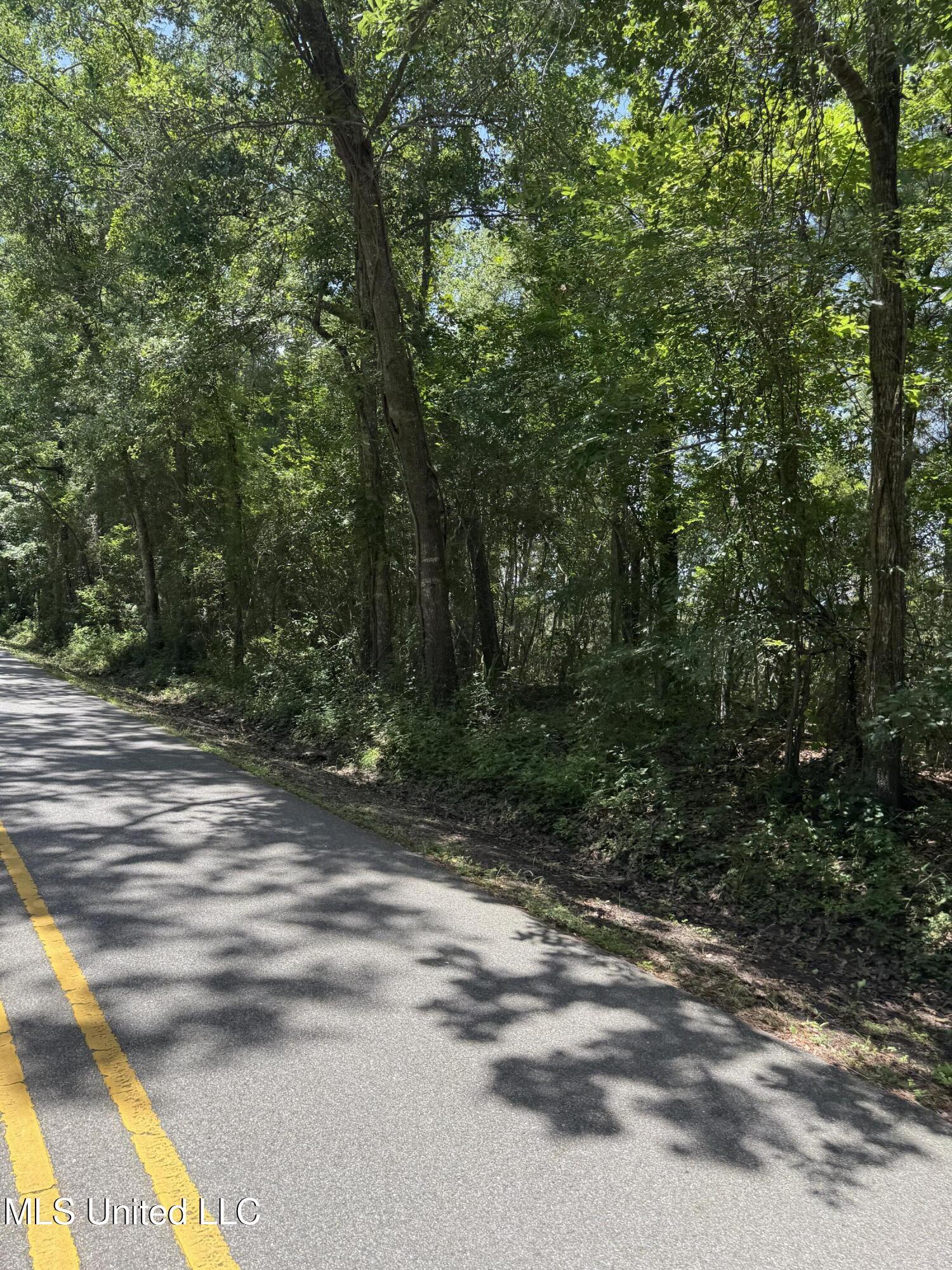 Property Photo: Nhn North St Lot 6 MS 39564