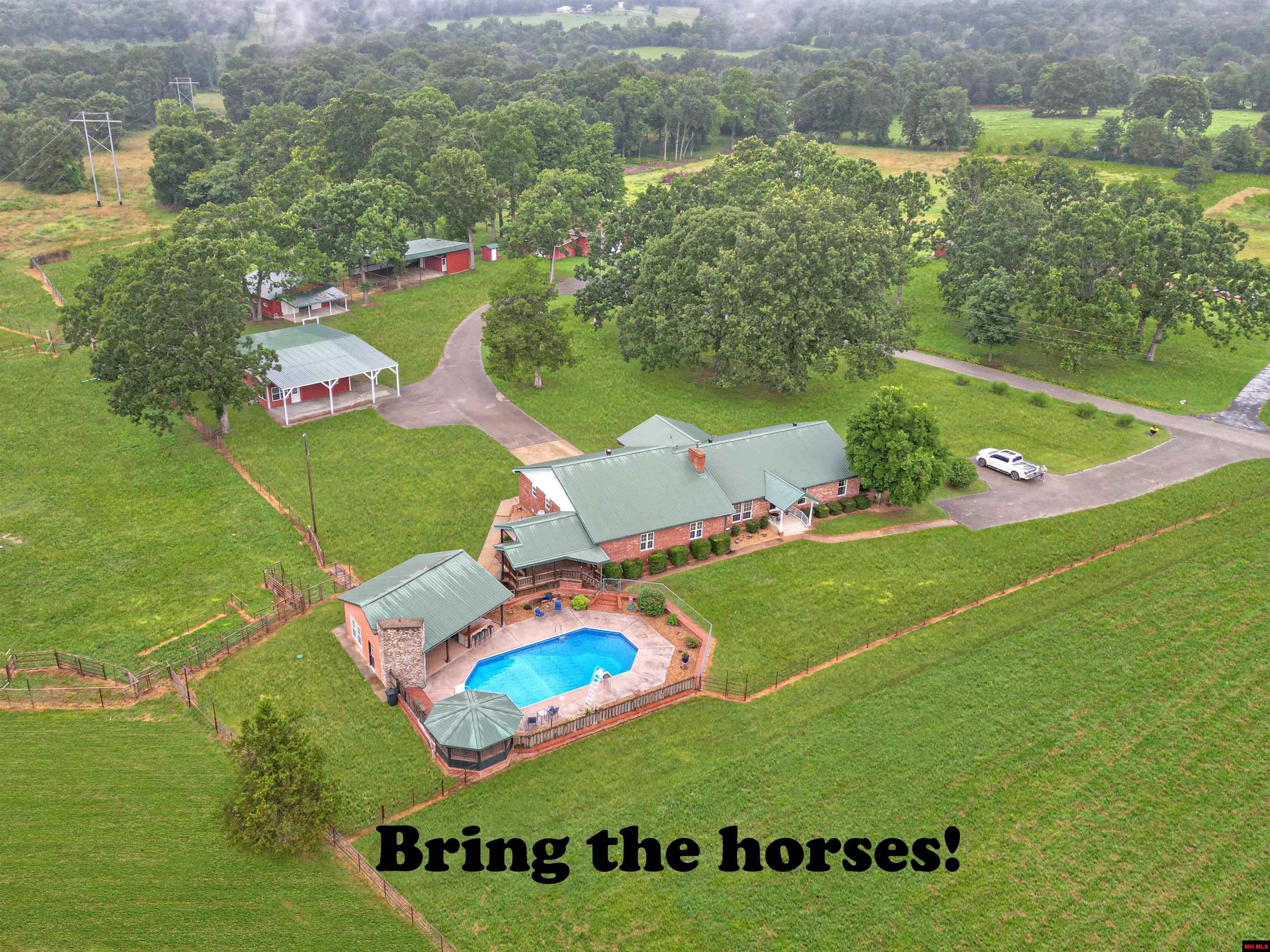 153 Dewberry Lane  Mountain Home AR 72653 photo