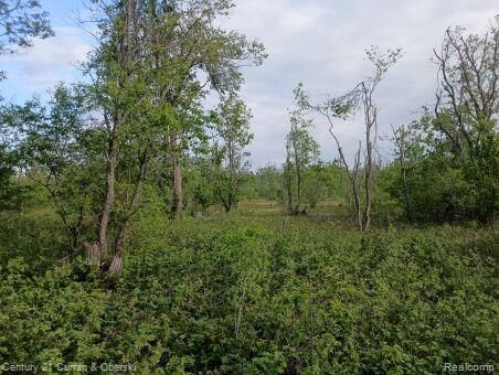 0000 Finnegan Rd,  Chester MI 49751 photo