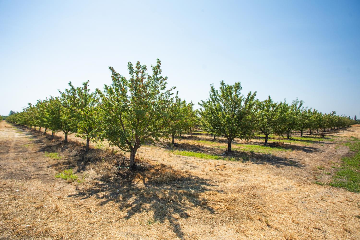 Property Photo:  4520 Highway 99  CA 95991 