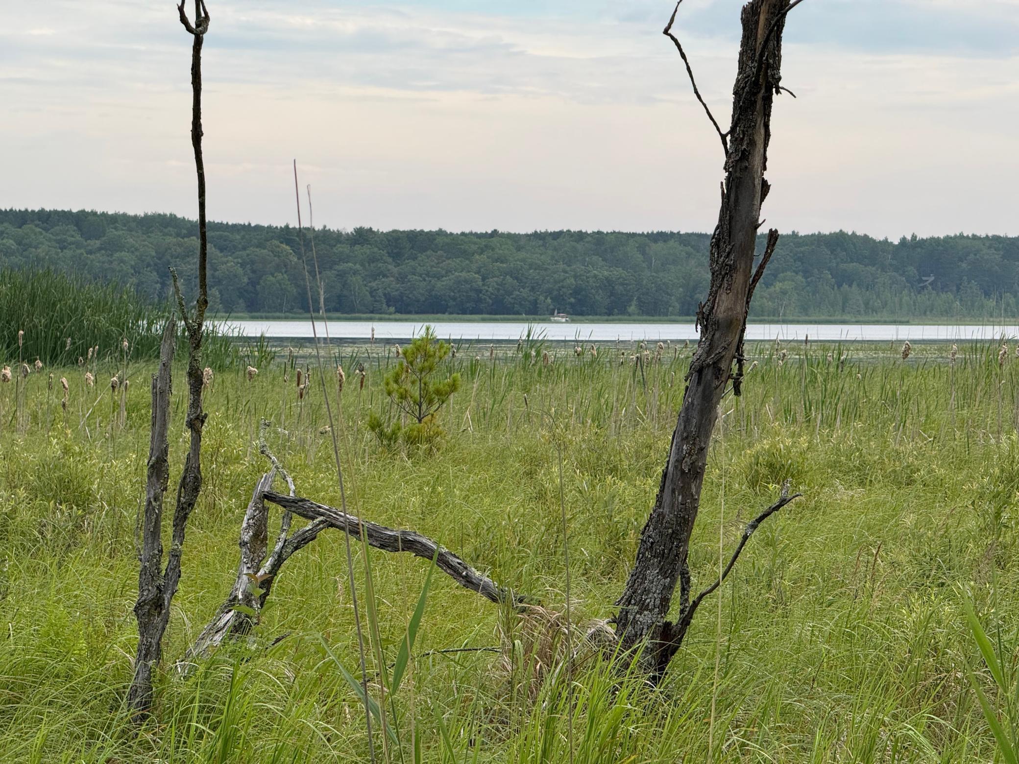 Property Photo:  14677 Chokecherry Drive  MN 56467 