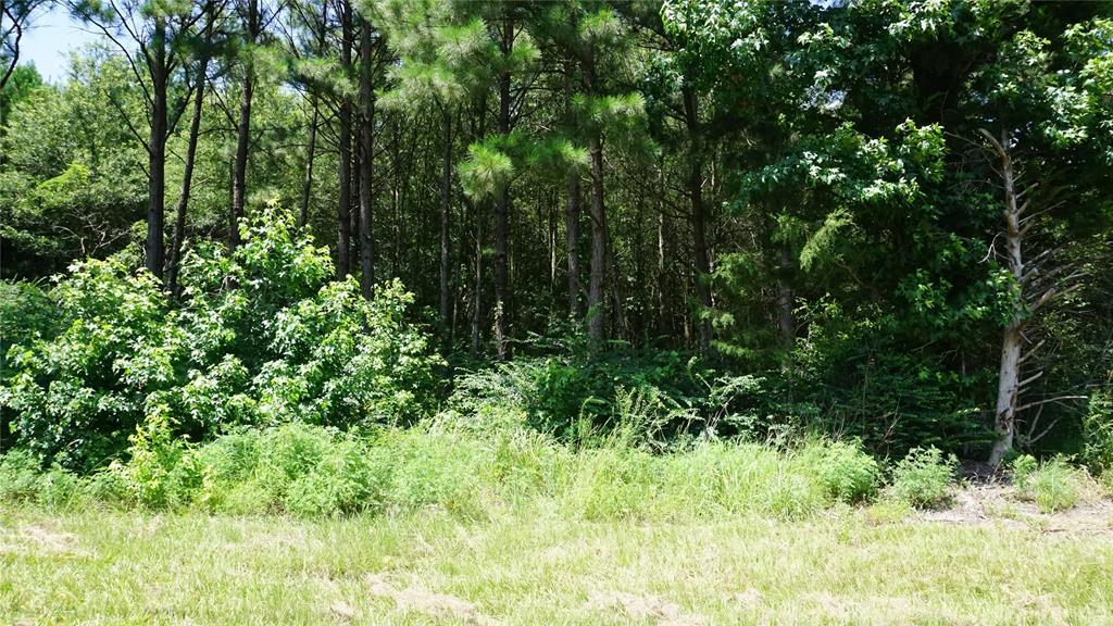 Property Photo: Tbd Hwy 80 Highway TX 75765