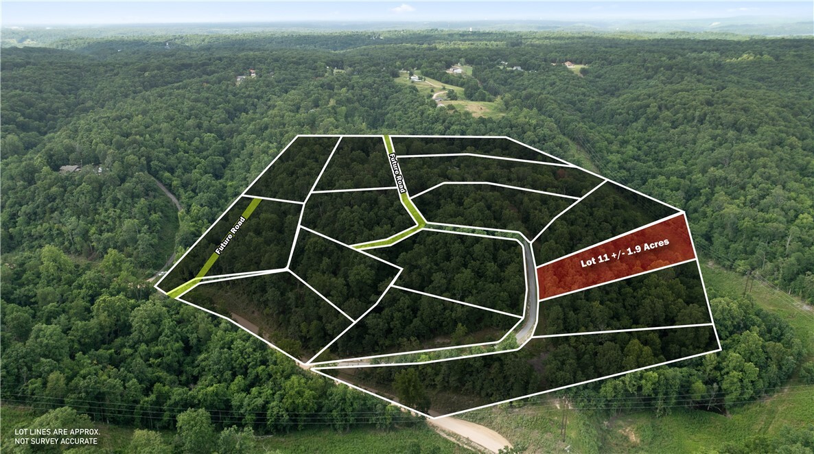 Property Photo:  Esculapia Hollow Road Lot 11  AR 72758 