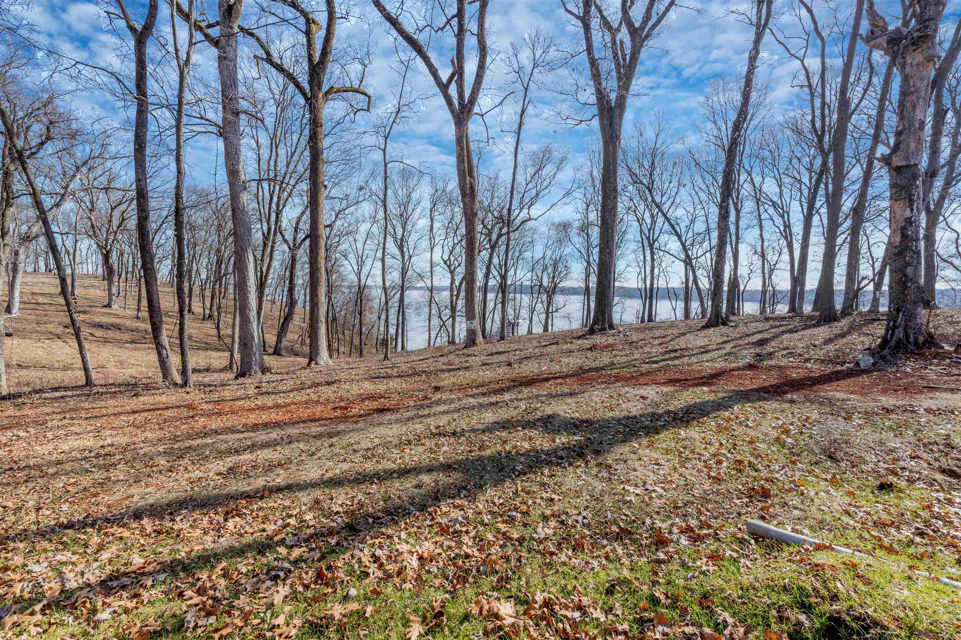Property Photo: 00 Highland Cove AL 35630 - FLORENCE