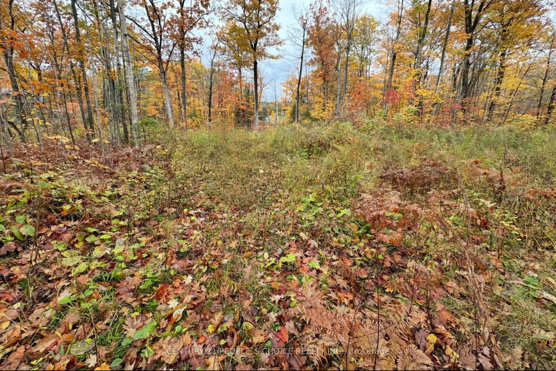 Property Photo:  3700 Narrows Road  ON L0K 1S0 