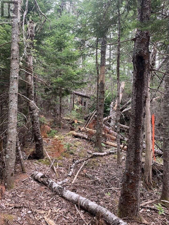 Property Photo:  Vvr Lot 6 Hunter Road  NS B0M 1Z0 