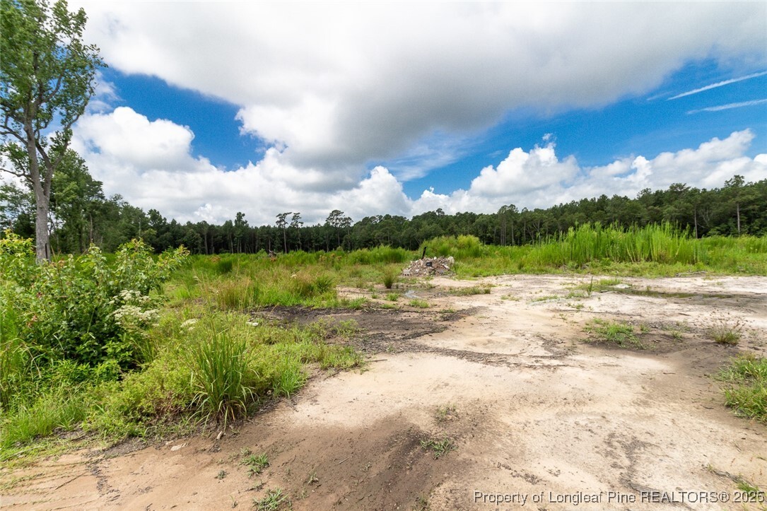 Property Photo: Meadow Road NC 28358