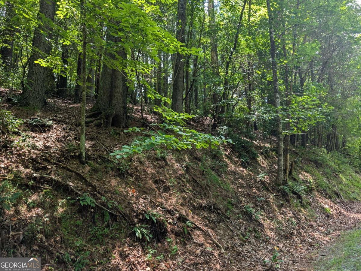 Property Photo: Lot P1 Goldmine Drive GA 30536