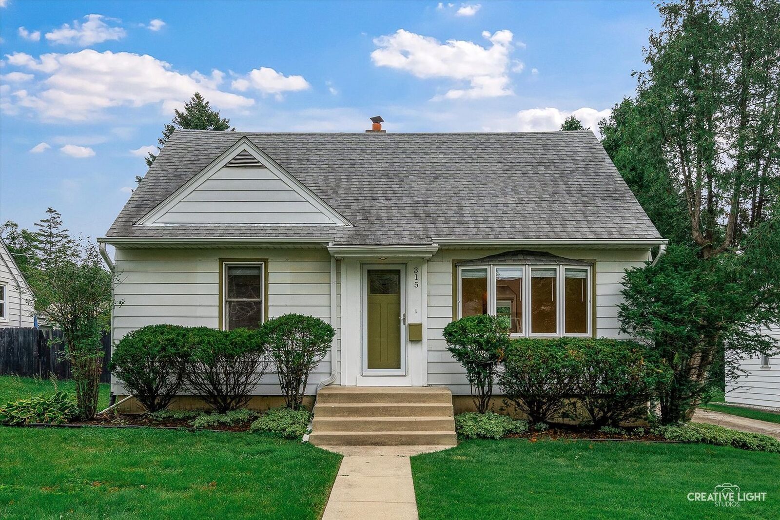 Property Photo: 315 S Park Street IL 60559