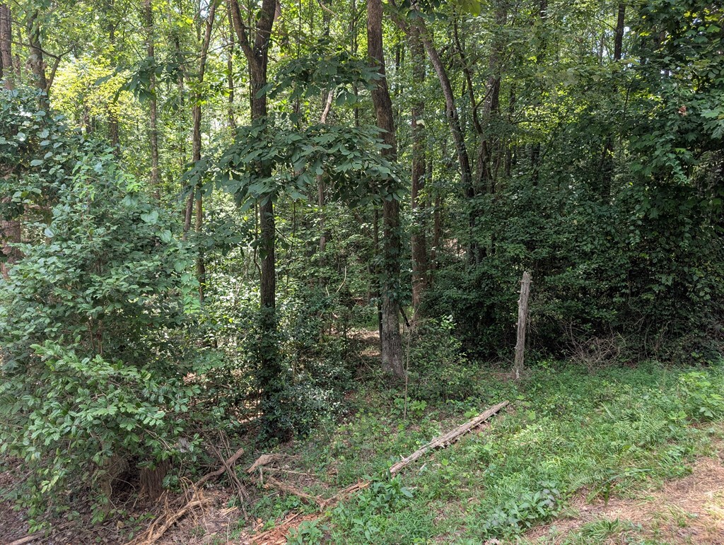 Property Photo: Lot 194 Shenendoa Drive GA 30540