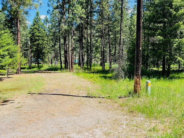 Nhn Robins Nest Lane  Superior MT 59872 photo