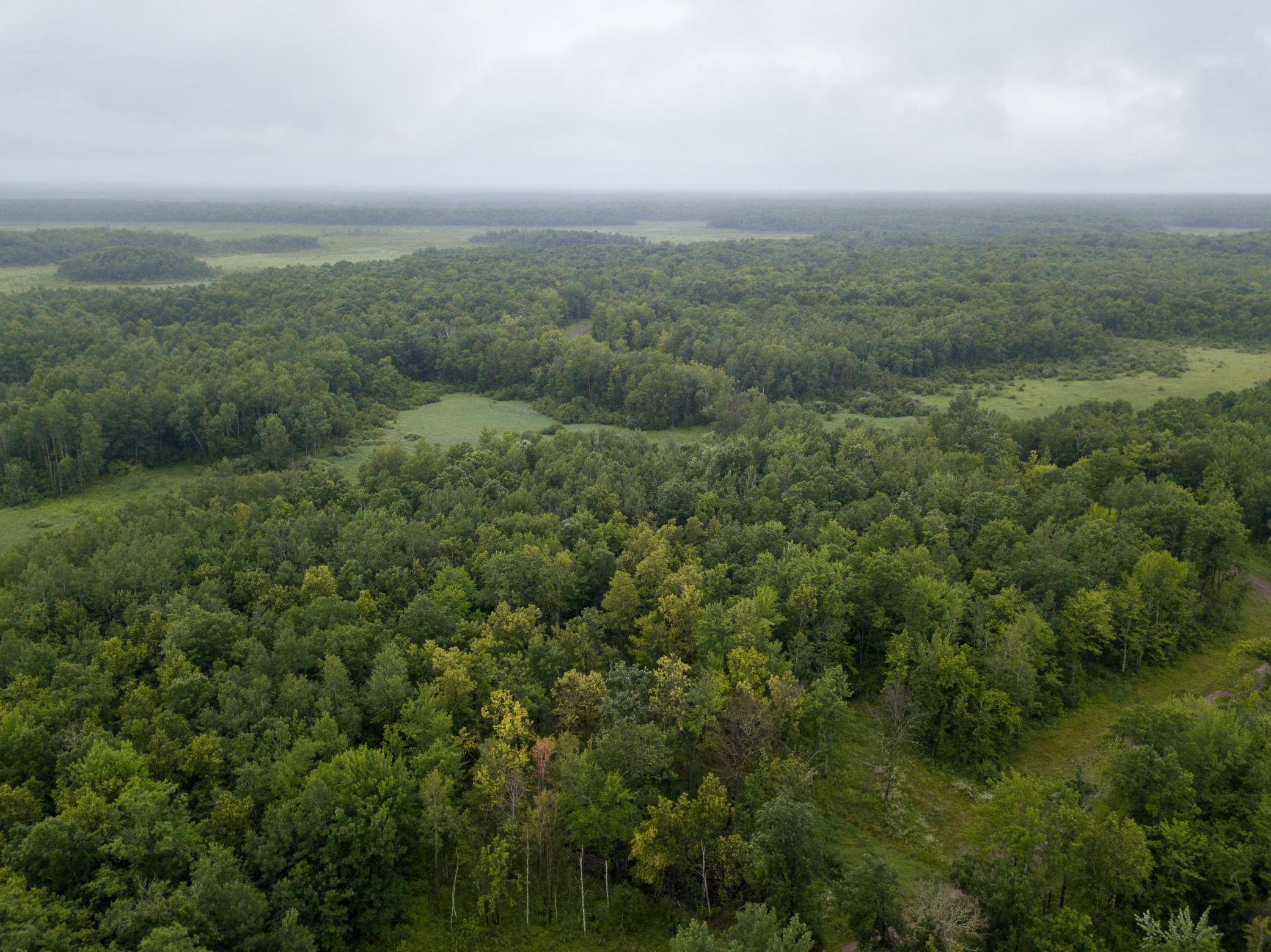 Property Photo:  15479 330th Street  MN 56359 