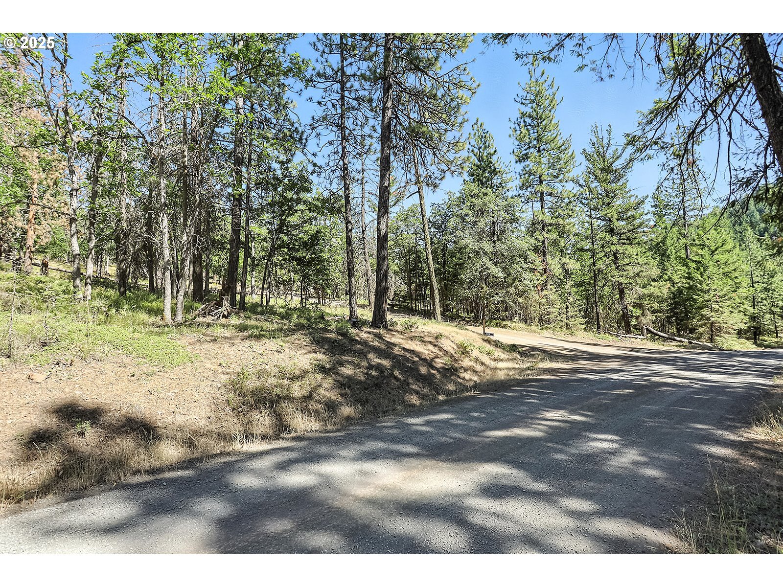 Property Photo: Forest Glen WA 98620
