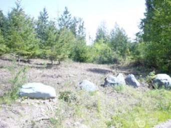 Property Photo: 1111 Xxxx Whiteman Road WA 98351