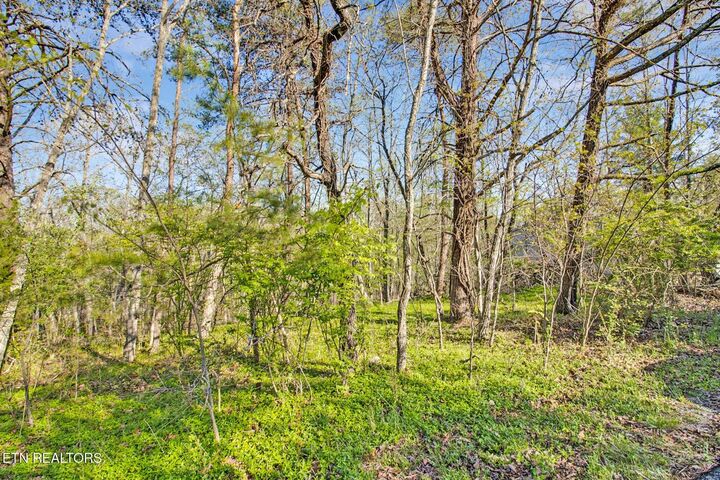 Property Photo:  165 Brokenwood Lane  TN 38558 