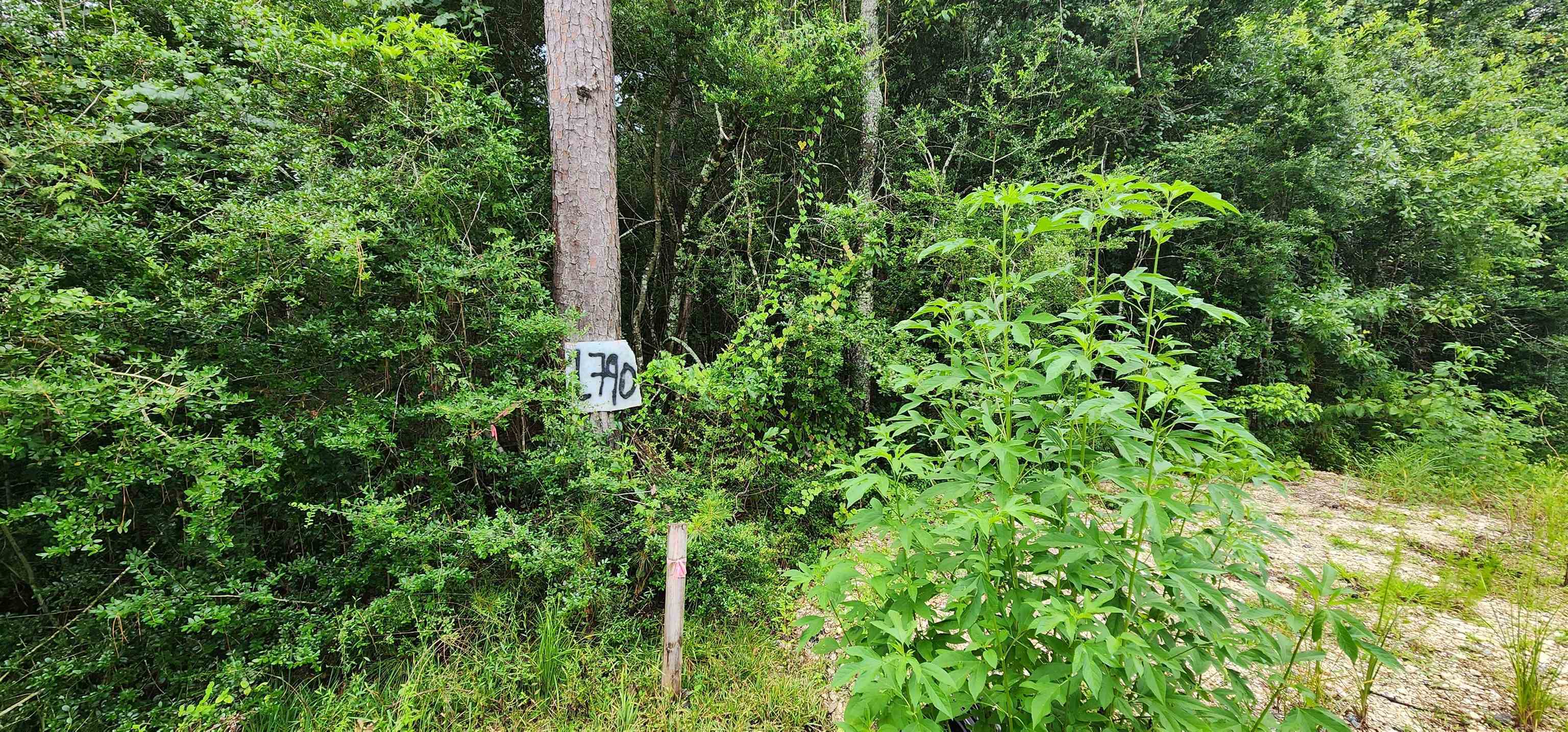 Property Photo: 1790 Old Nona Rd TX 77625