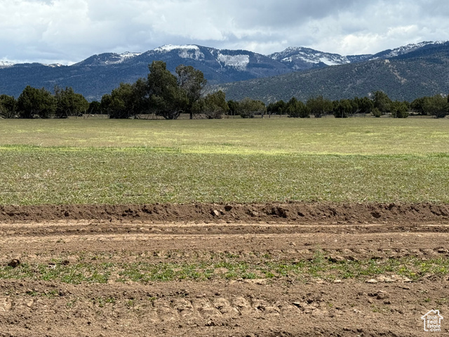 Unknown  Spring City UT 84662 photo