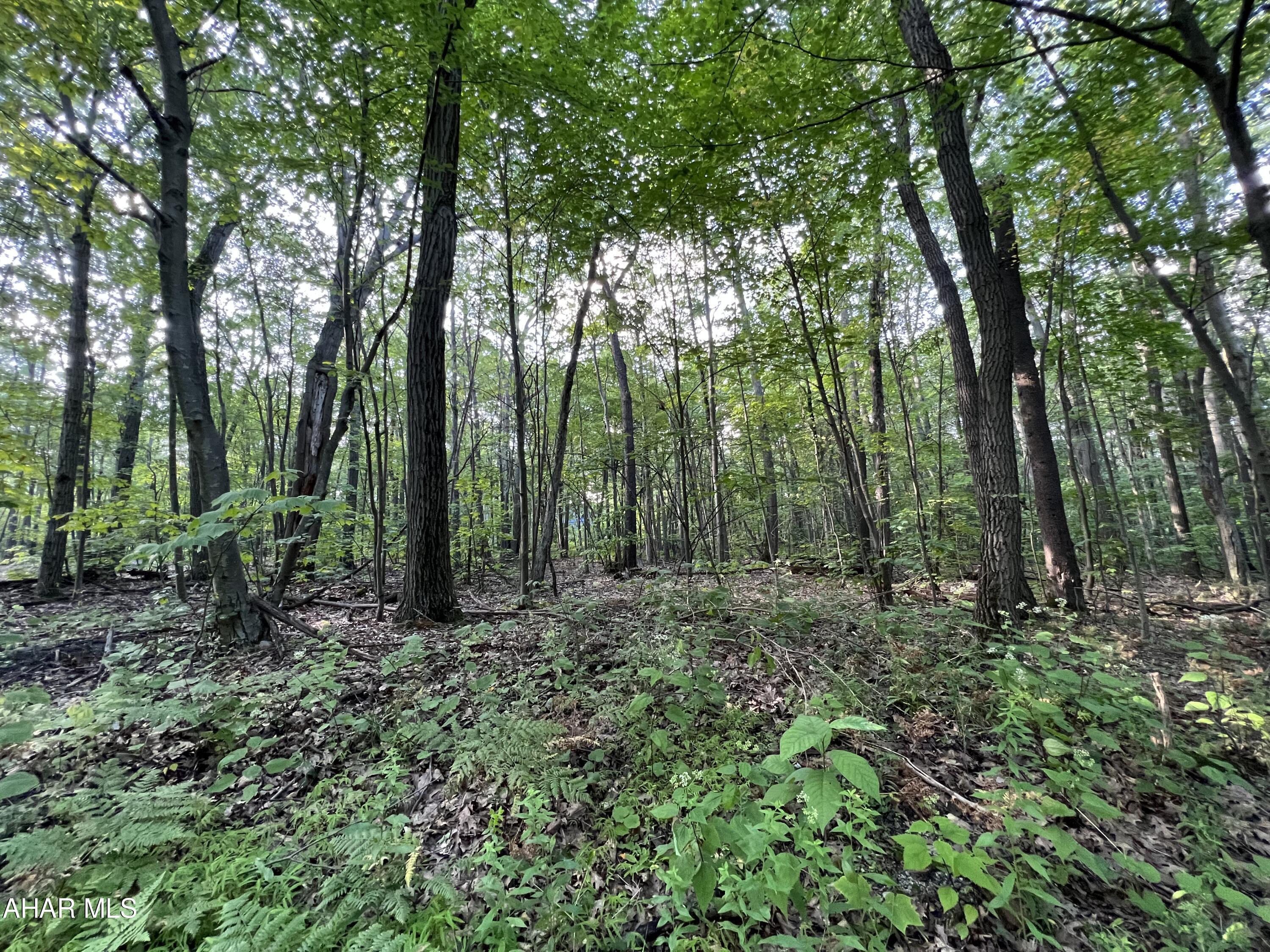 Property Photo: 117 &Amp 118 Kittanning (Overland Pass) Run PA 16625