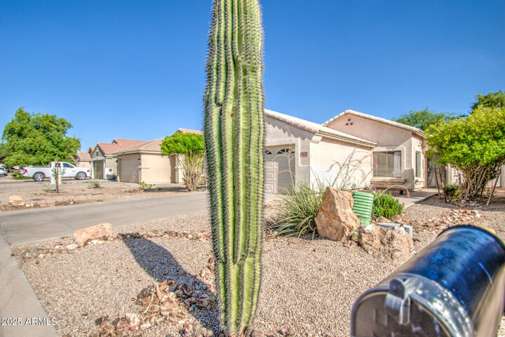 Property Photo:  937 E Nardini Street  AZ 85140 