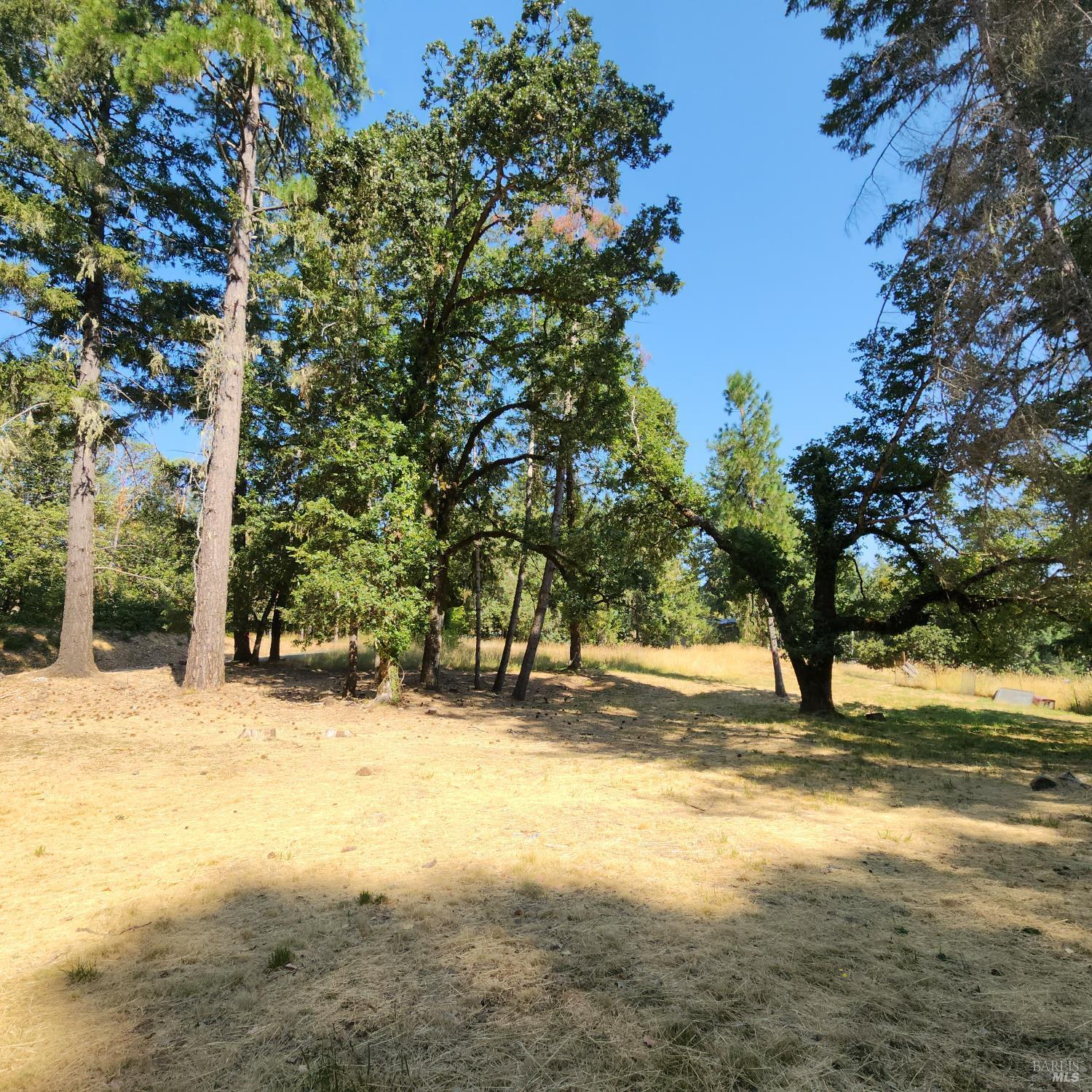 Property Photo:  25331 Sherwood Road  CA 95490 