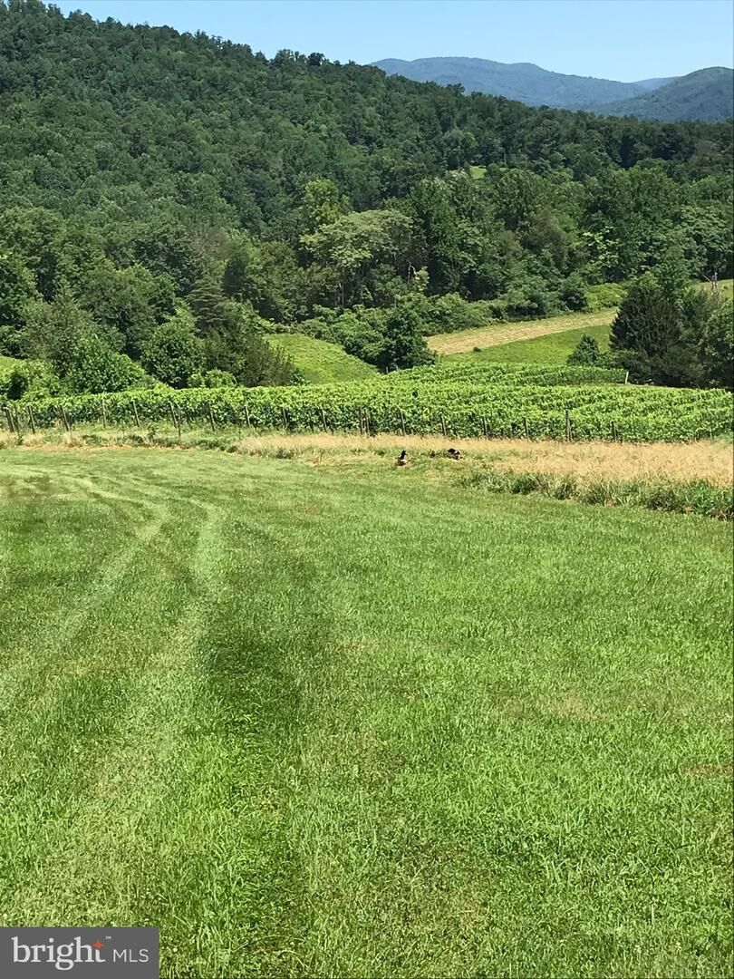 Property Photo: 2188 Whippoorwill Road VA 22727