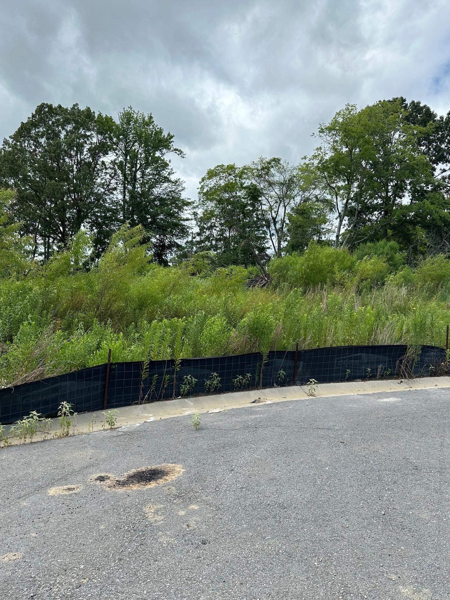 Property Photo: Lot 33 Steeplechase Cir AR 72022